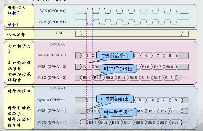 _images/spi1.jpg