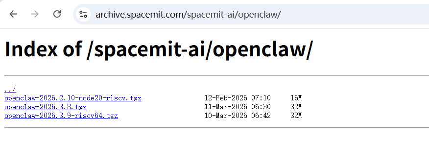 OpenClaw npm package download