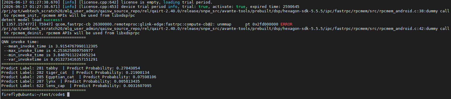 _images/convnext-tiny_run.jpg