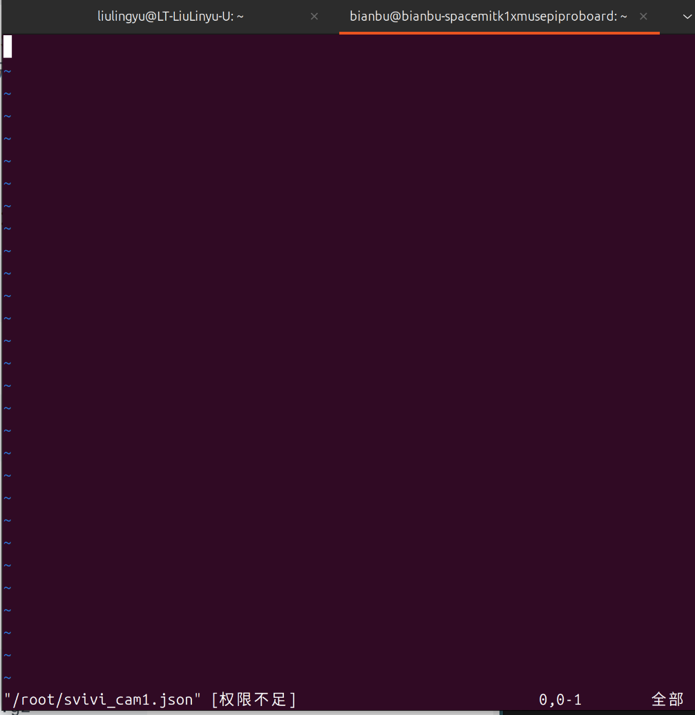 json file appears empty