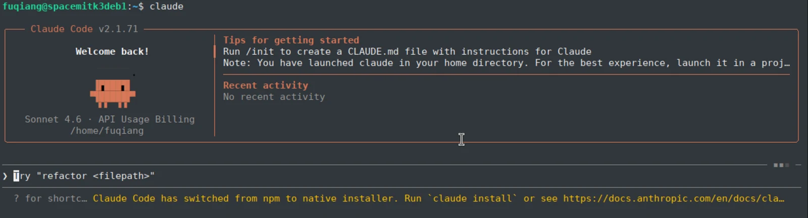 Claude Code startup interface