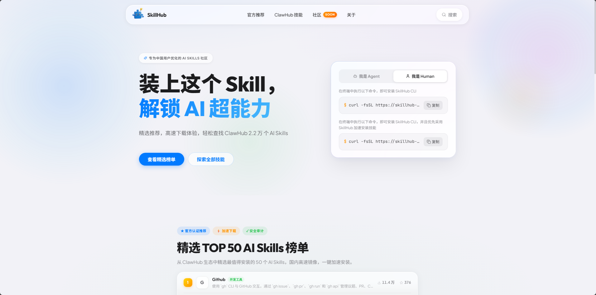 SkillHub 网站首页