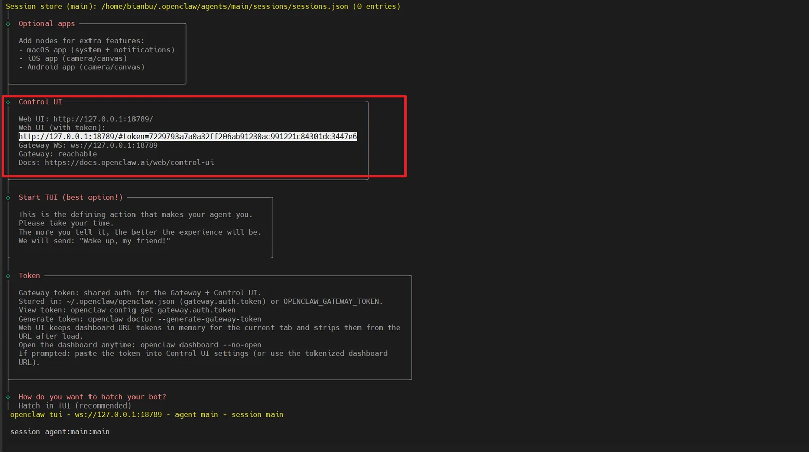 OpenClaw local access URL with token