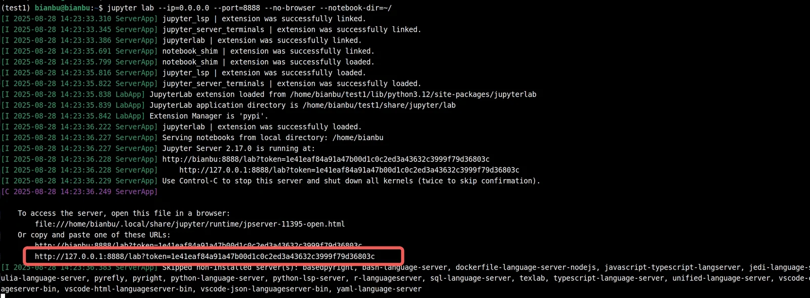 JupyterLab terminal output