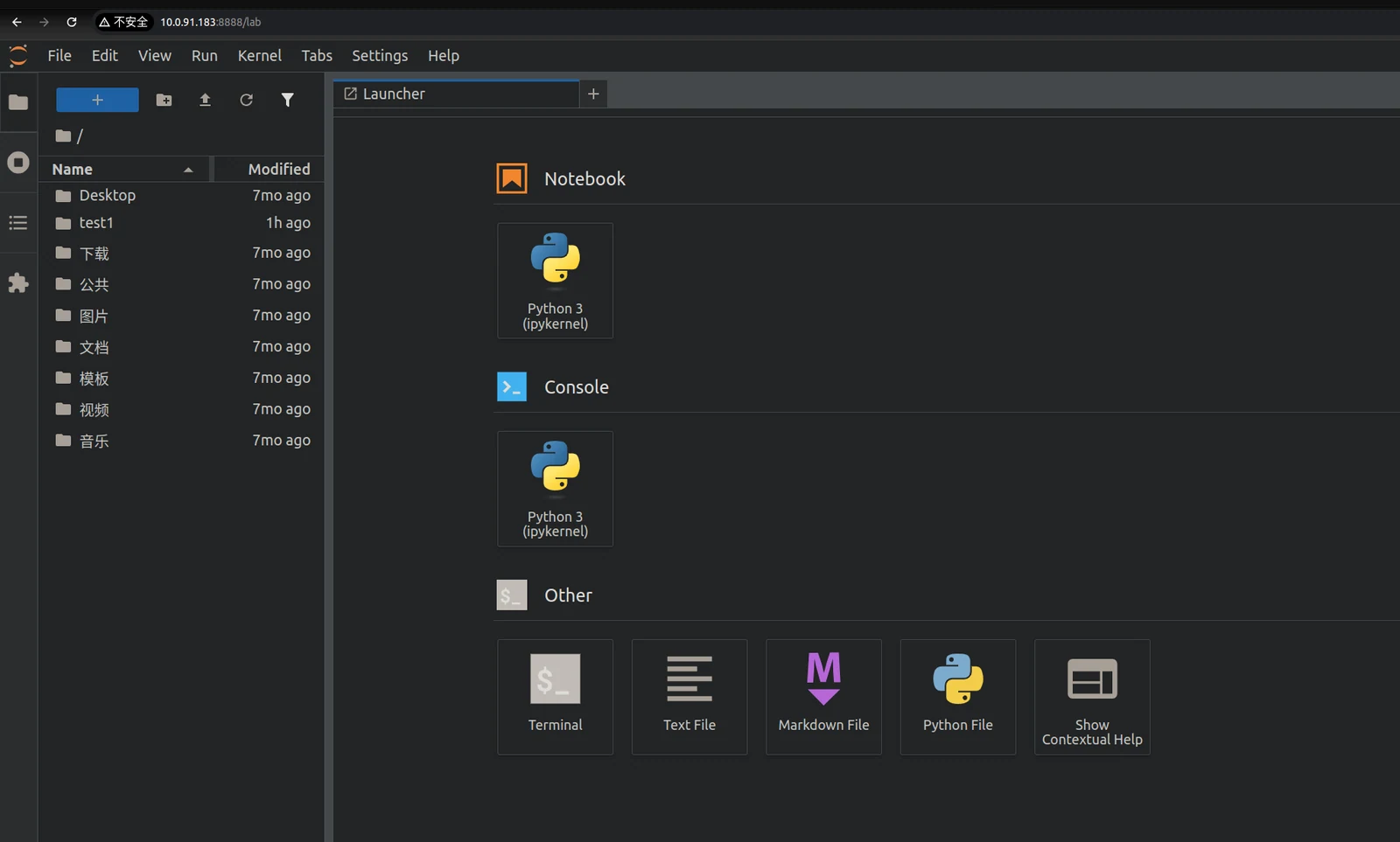 JupyterLab interface